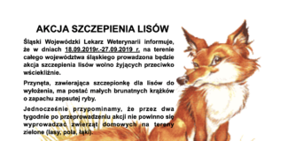 AKCJA SZCZEPIENIA LISÓW
