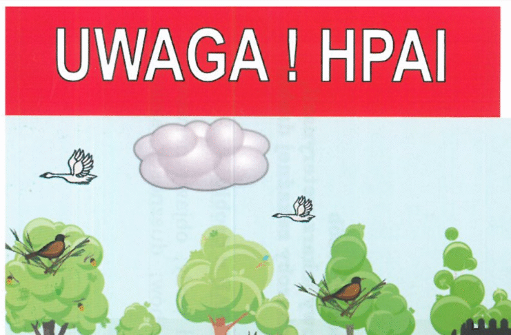 Grypa ptaków – informacje dla osób narażonych na kontakt z chorymi zwierzętami uwaga HPA