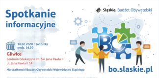 Budżet obywatelski