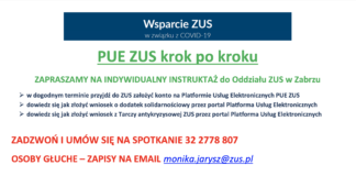 PUE ZUS krok po kroku