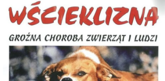 szczepienia przeciw wściekliźnie