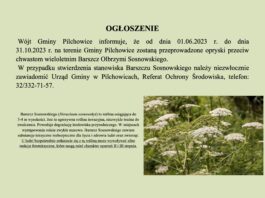 opryski przeciw chwastom wieloletnim