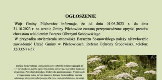 opryski przeciw chwastom wieloletnim